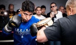 加西亚最新爆料视频,揭秘事件背后惊人真相