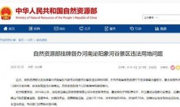 泌阳新闻爆料电话号码,揭秘市民身边事，倾听民声传递正义