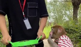 永久免费吃瓜小神器是真的吗,真相大起底！