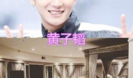 王俊凯爆料男星视频在线观看,揭秘男星私密视频幕后真相