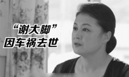 吃瓜娱乐圈王子,娱乐圈的瓜田传奇