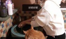 cateyes在线观看,cateyes在线观影之旅