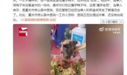 魔芋鸭的爆料视频大全,揭秘娱乐圈幕后真相