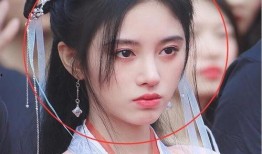 白鹿爆料明星是谁啊视频,揭秘视频中神秘明星身份