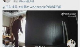 王东老婆爆料视频,揭秘夫妻关系背后的真相