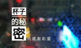 天津饭店爆料视频最新版