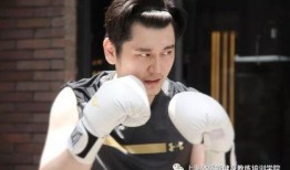 刘程爆料王亮视频,揭秘背后惊人内幕