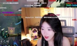 爆料缅甸丫妹视频播放,揭秘背后故事与争议