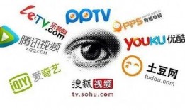 黑客爆料正能量视频网站,黑客爆料背后的真实故事