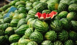 摆摊网红吃瓜视频下载安装,轻松追剧，畅享美食时光