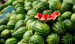 可以吃瓜的网红有哪些,盘点那些让人垂涎欲滴的吃瓜网红