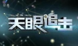 天眼追击在线观看,揭秘神秘网络世界的惊险追踪之旅