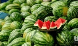 云兰吃瓜免费入口,免费入口带你畅享美味瓜果盛宴