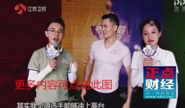 江苏电视台在线观看,随时随地畅享精彩视听盛宴