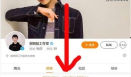 jj最新爆料,揭秘娱乐圈幕后真相，明星隐私大曝光！”