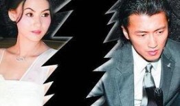 张柏芝航班最新爆料,揭秘明星私生活新动向