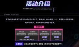 战哥老粉爆料视频大全集,揭秘幕后故事与精彩瞬间