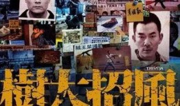 电影树大招风在线观看,揭秘香港黑帮风云，一场惊心动魄的卧底行动