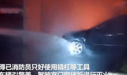 河南省高校爆料事件视频,揭秘校园内幕引发热议