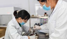 衡水医生爆料视频,揭露医疗行业惊人内幕