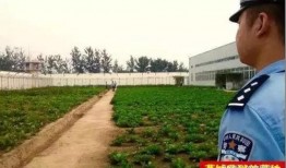 娱乐吃瓜酱燕城监狱,娱乐吃瓜酱揭秘狱中秘闻