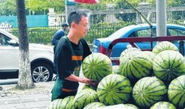 摆摊网红吃瓜视频下载安装,轻松追剧，畅享美食时光