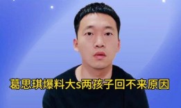 葛思琪爆料视频大全最新,揭秘娱乐圈不为人知的一面