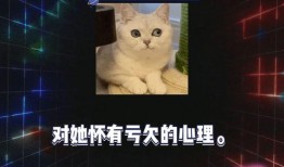 娱乐吃瓜强,吃瓜群众眼中的明星幕后故事