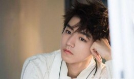 王俊凯爆料男星视频在线观看,揭秘男星私密视频幕后真相