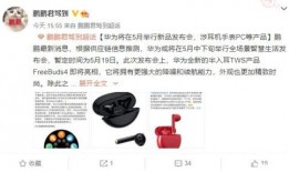 华为最新智能手表爆料视频,颠覆传统，引领智能穿戴新潮流