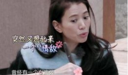 女明星爆料丈夫视频大全,娱乐圈背后的惊人真相