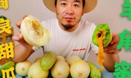 吃网红瓜大全,盘点娱乐圈那些鲜为人知的幕后故事