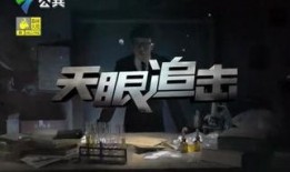 天眼追击在线观看,揭秘神秘网络世界的惊险追踪之旅