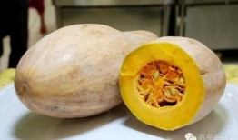 甘肃陇南网红吃瓜视频,揭秘当地特色美食与风土人情