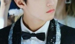 王俊凯爆料男星视频在线观看,揭秘男星私密视频幕后真相