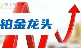 金帝股份最新爆料消息,揭秘公司重大战略布局与未来发展动向