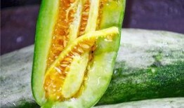 可以吃瓜的网红有哪些,盘点那些让人垂涎欲滴的吃瓜网红