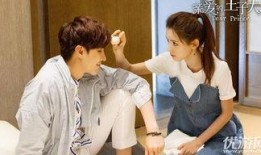 在线观看的王子,穿越时空的奇幻之旅