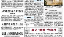 新闻线索爆料案例范文大全,揭秘新闻背后的真相与技巧