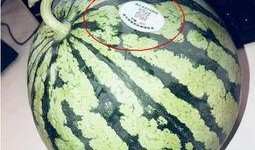 吃网红瓜大全,盘点娱乐圈那些鲜为人知的幕后故事