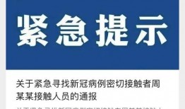平山爆料最新新闻消息,最新热点事件深度解析