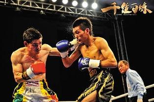 吃瓜娱乐拳击视频大全,吃瓜娱乐拳击视频大全精选集锦